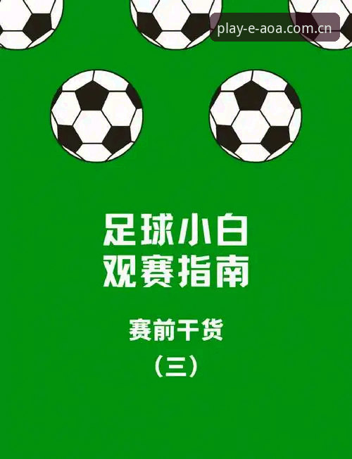 世界杯观赛签证危机完整指南：约旦土耳其球迷困境与AOA体育平台观赛体验